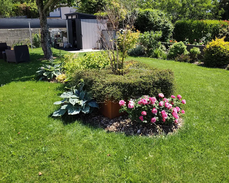 Massif fleuri et pelouse entretenue, création de jardin par Amzer Paysage à Plonéour-Lanvern